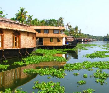 Kerala Tour