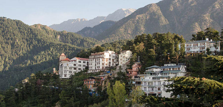 dharamsala-banner dharamsala-banner